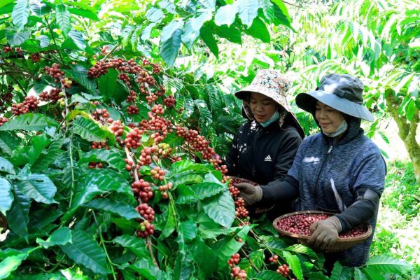 snapedit_1762227973451